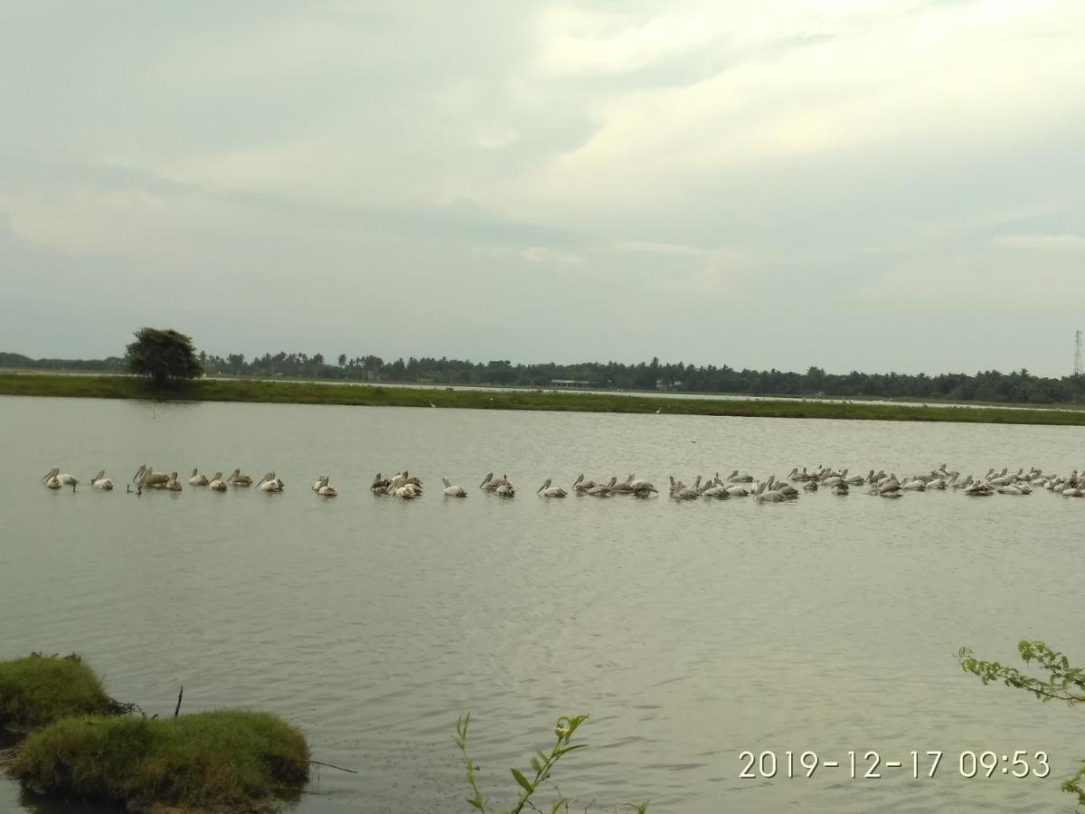 Hotel Bundala Park Weligatta Bagian luar foto